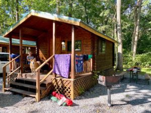 Photo of glamping cabin